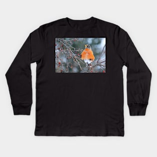 Robin in Winter #3 Kids Long Sleeve T-Shirt